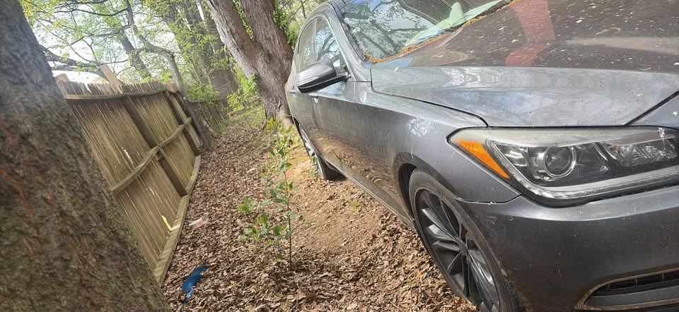 2016 Hyundai Genesis - Image 2 of 4