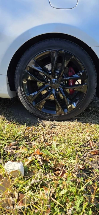 2016 Hyundai Genesis Coupe - Image 8 of 18