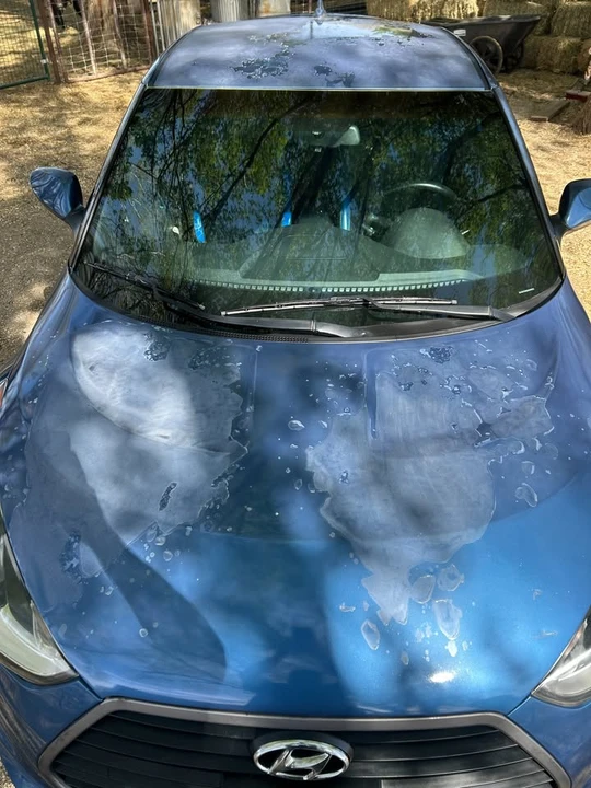 2016 Hyundai Veloster - Image 10 of 21