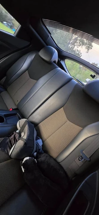 2016 Hyundai Veloster - Image 6 of 12