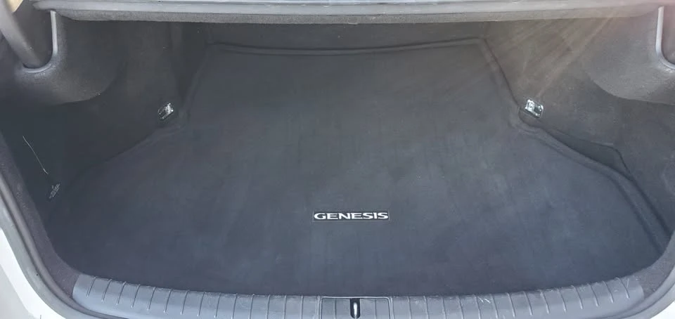 2016 Hyundai Genesis - Image 14 of 20