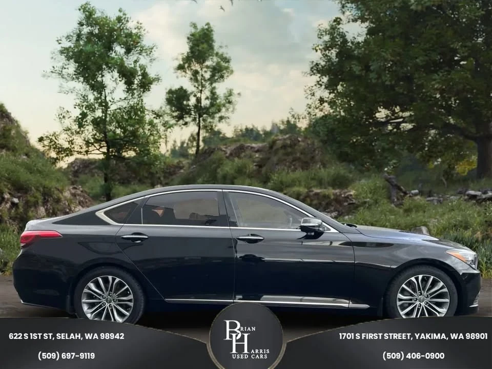 2016 Hyundai Genesis - Image 4 of 18