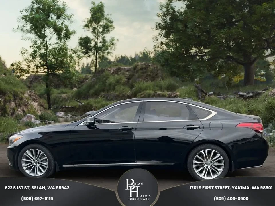 2016 Hyundai Genesis - Image 3 of 18