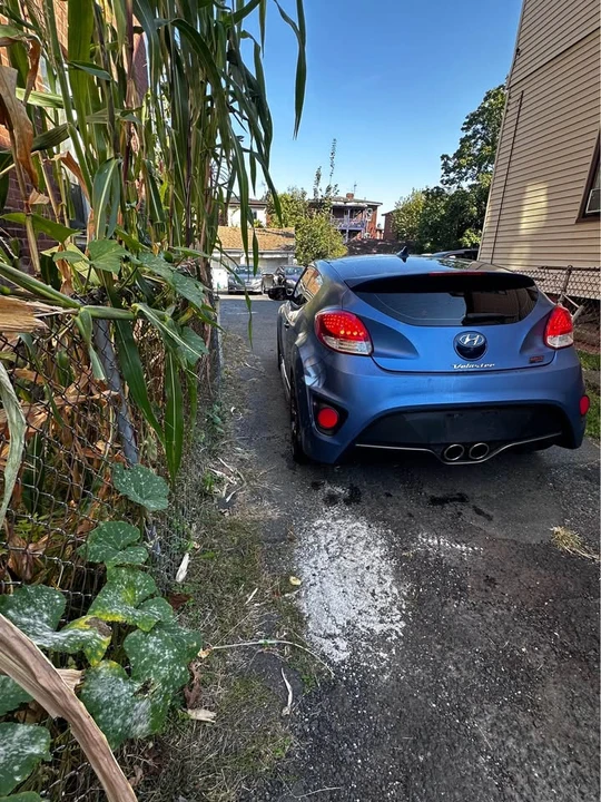 2016 Hyundai Veloster - Image 13 of 14