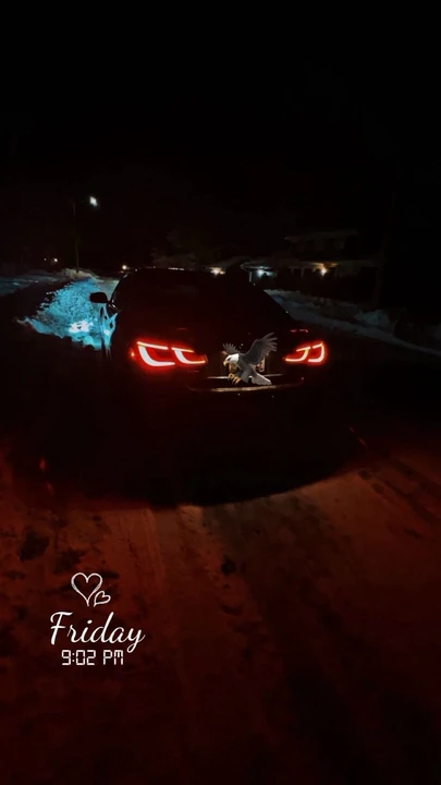 2016 Infiniti M/Q70 4th Gen - Image 15 of 15