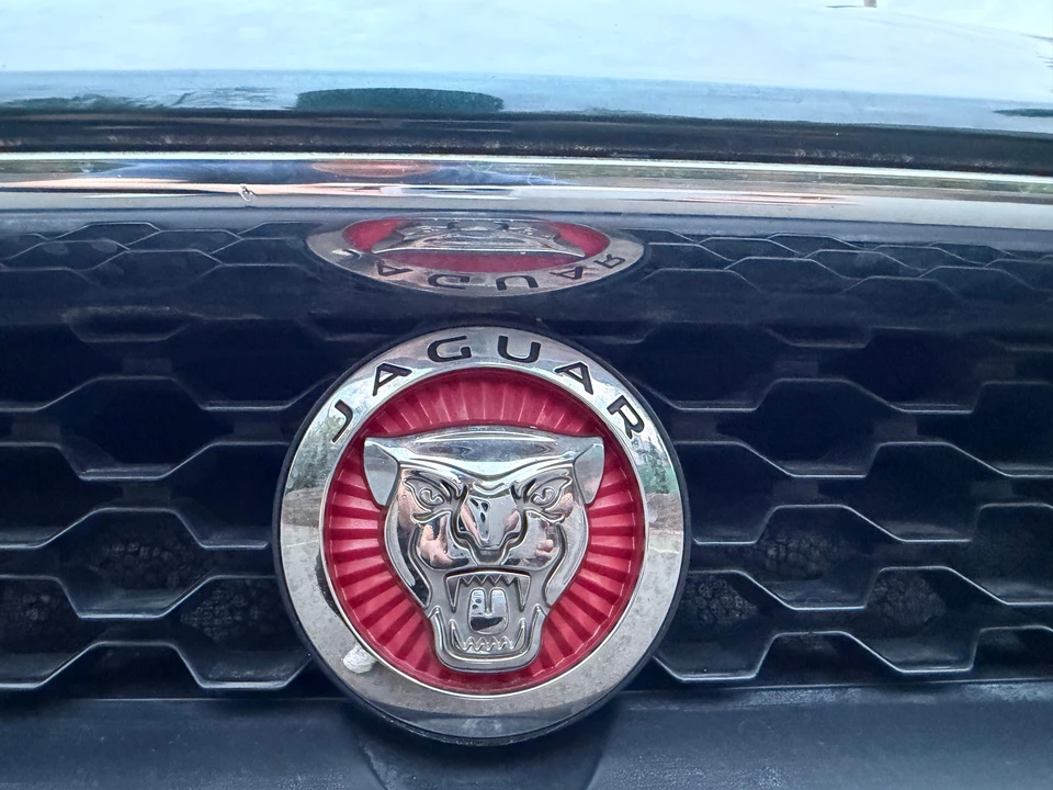 2016 Jaguar F-Type 1st Gen - Image 10 of 31