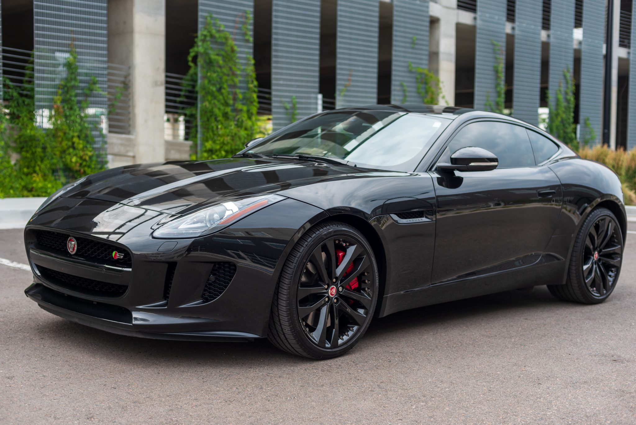 JagOwner1