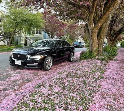 2016 Jaguar XJ R Pace 3.0