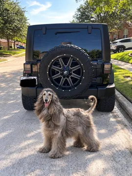 2016 Jeep Wrangler Unlimited Sport S