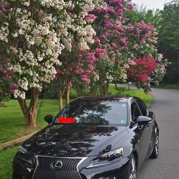 2016 Lexus IS 350 F SPORT Sedan 4D