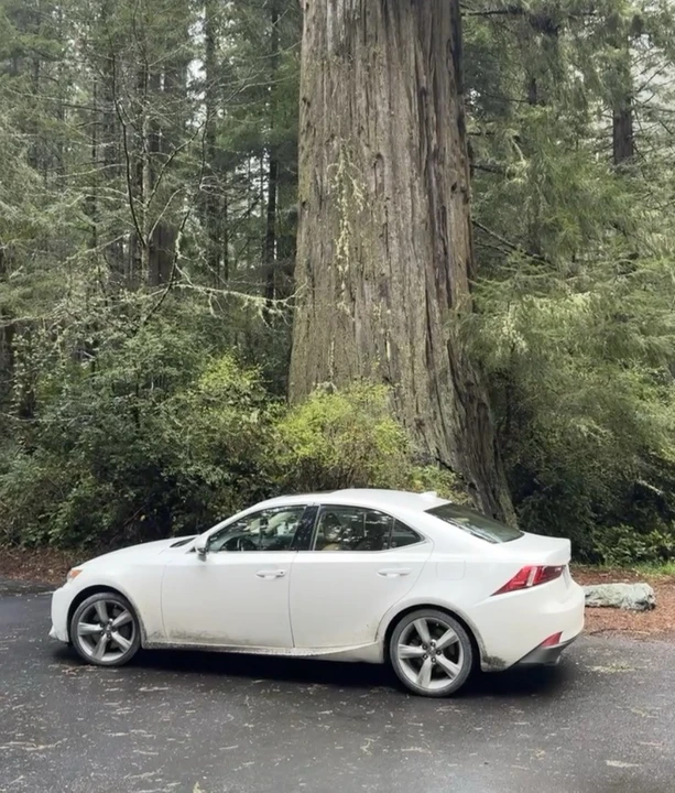 2016 Lexus IS 3rd Gen - Image 3 of 4