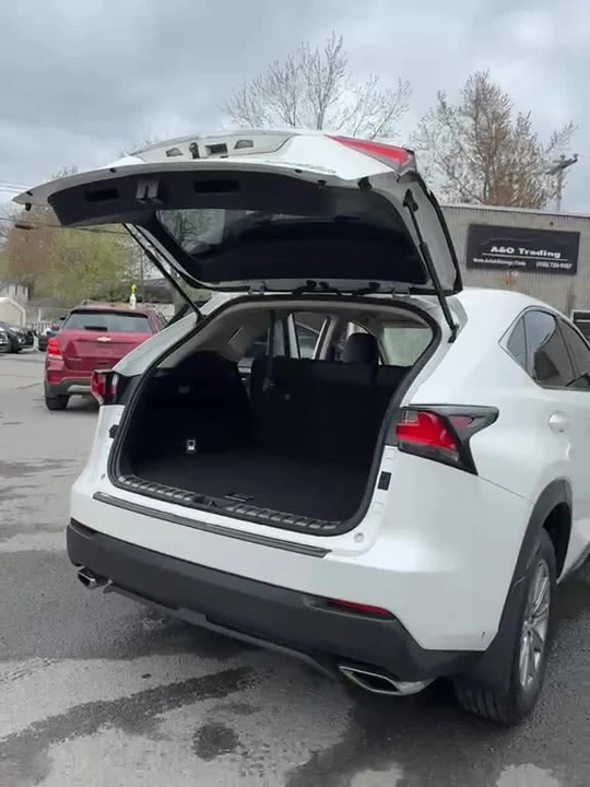 2016 Lexus NX 1st Gen - Image 19 of 19