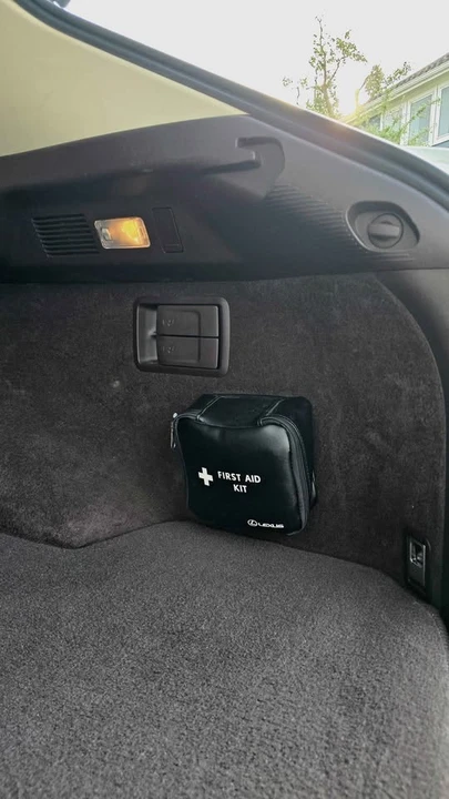 2016 Lexus RX 4th Gen - Image 10 of 10