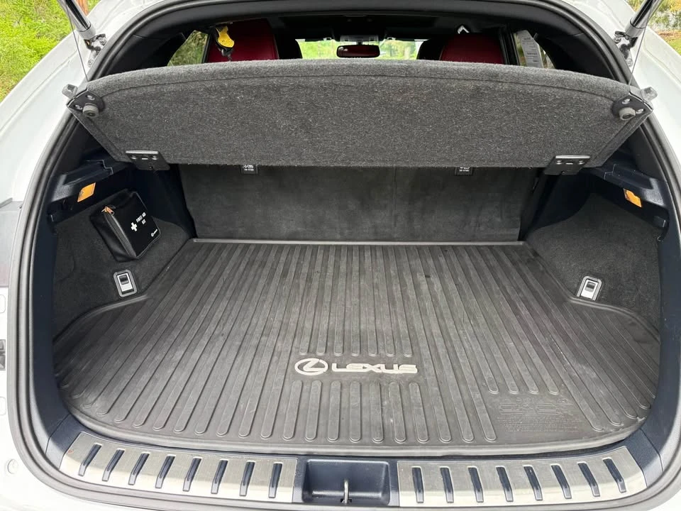 2016 Lexus NX 1st Gen - Image 18 of 19