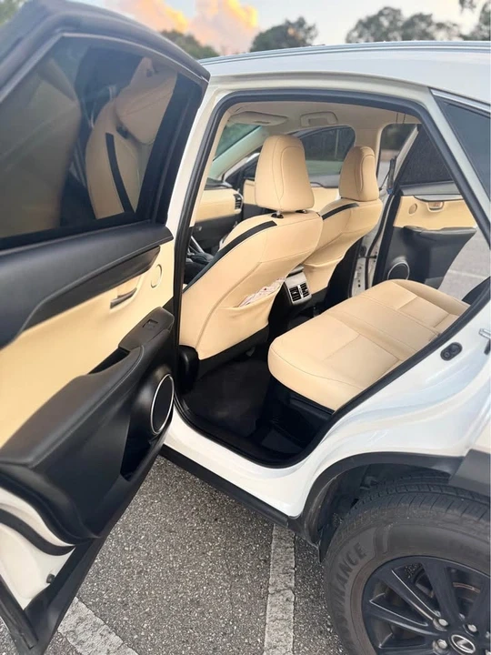 2016 Lexus NX 1st Gen - Image 15 of 19