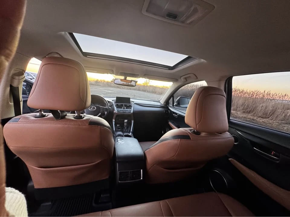 2016 Lexus NX 1st Gen - Image 10 of 18