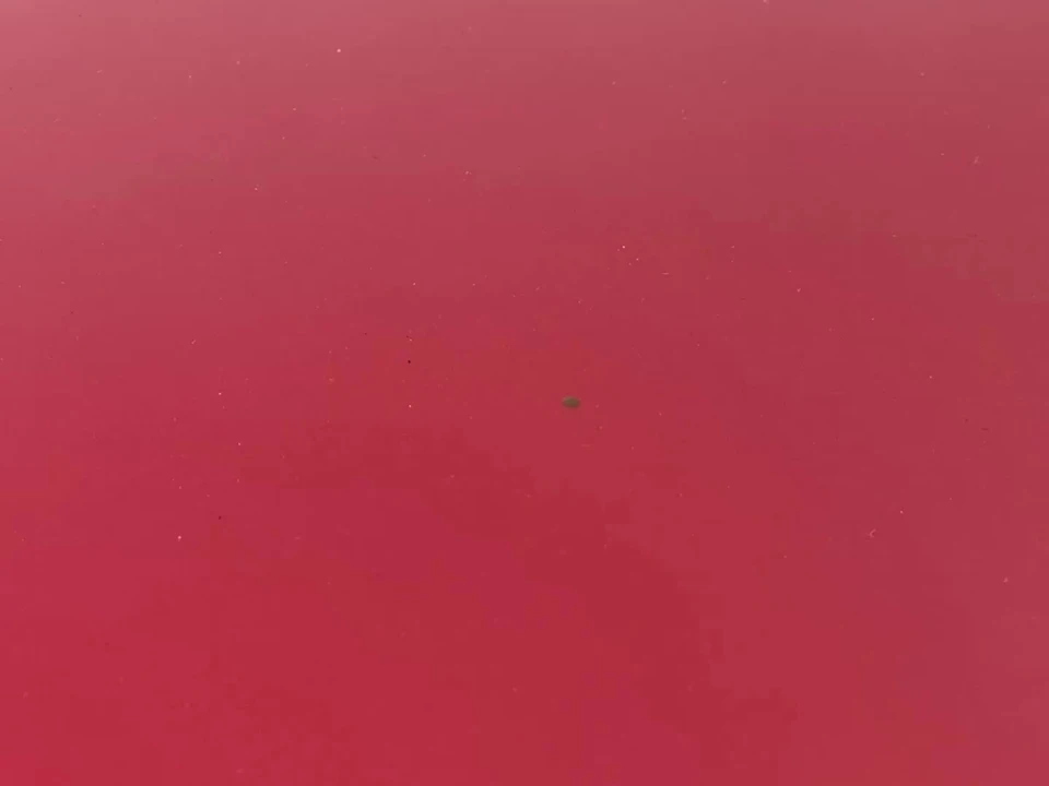 2016 Mazda ND MX-5 Miata - Image 18 of 31