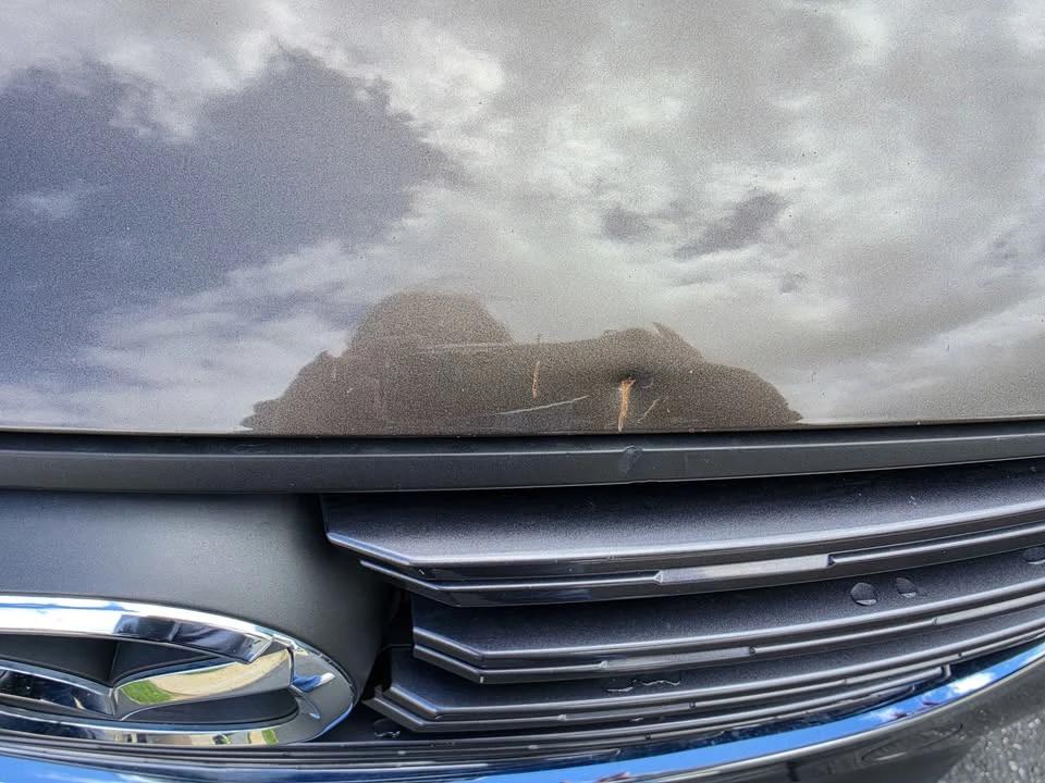 2016 Mazda CX-5 1st Gen - Image 13 of 14