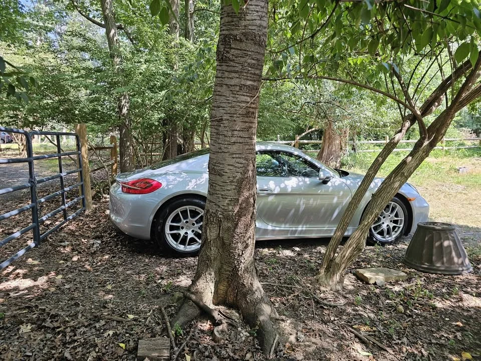 2016 Porsche 981 Cayman - Image 14 of 16