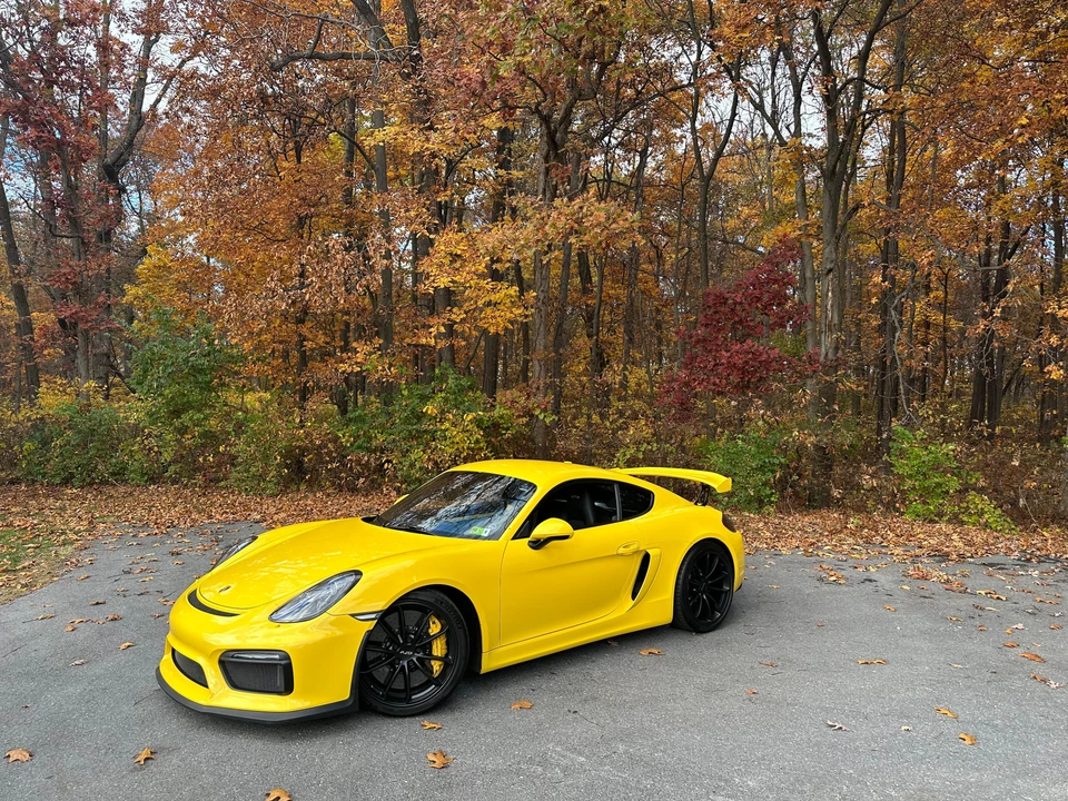 2016 Porsche 981 Cayman GT4 - Image 14 of 31