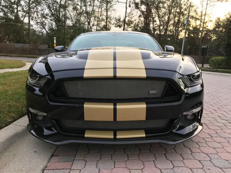 2016 Shelby - Image 8 of 18