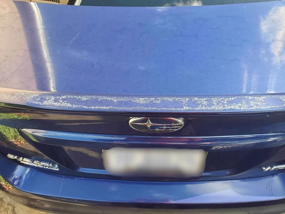 2016 Subaru Impreza WRX 4th Gen - Image 4 of 4