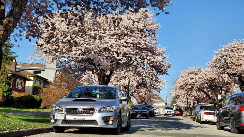 2016 Subaru Impreza WRX 4th Gen - Image 6 of 7