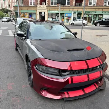 2016 Dodge Charger R/T 100th Edition