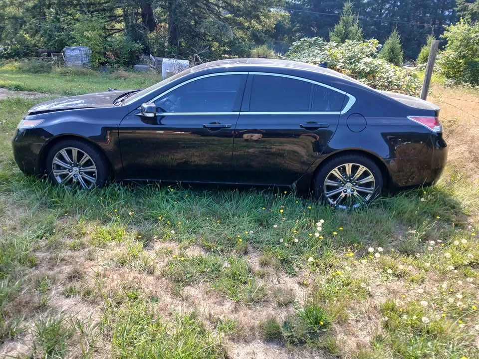 2017 Acura TLX 1st Gen - Image 4 of 4