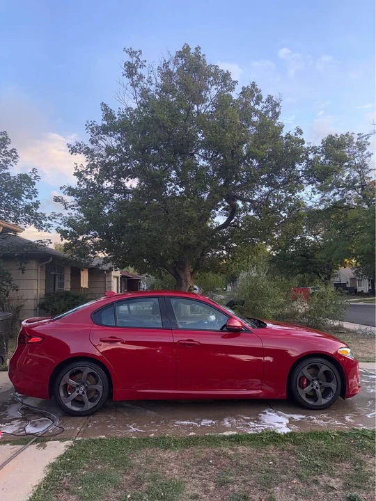 2017 Alfa Romeo Giulia - Image 5 of 15
