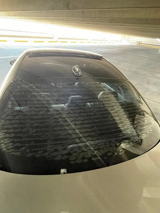 2017 Alfa Romeo Giulia - Image 6 of 16
