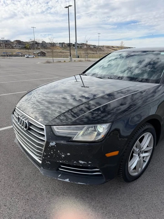 2017 Audi B9 A4 - Image 4 of 20