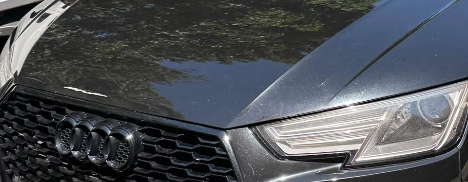 2017 Audi B9 A4 - Image 16 of 16