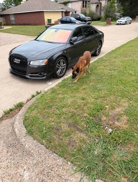 2017 Audi D4 S8 - Image 3 of 9