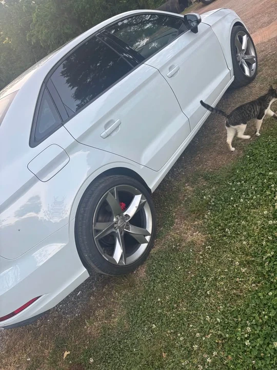 2017 Audi 8V A3 - Image 8 of 12