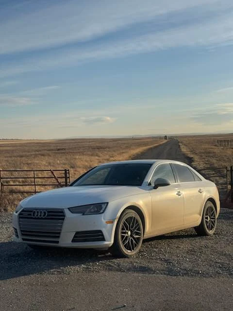2017 Audi B9 A4 - Image 4 of 7