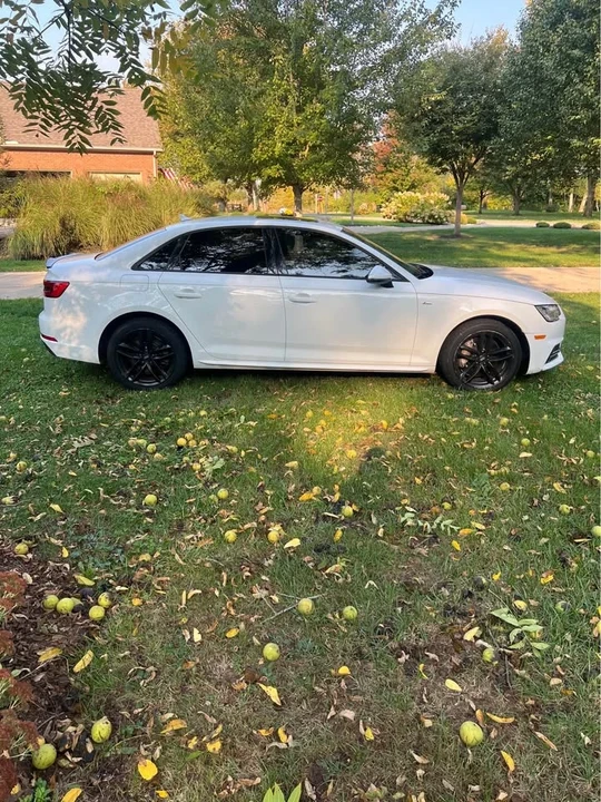 2017 Audi B9 A4 - Image 5 of 15