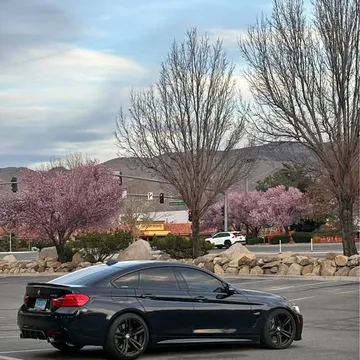 2017 BMW 4 Series 440i Gran Coupe