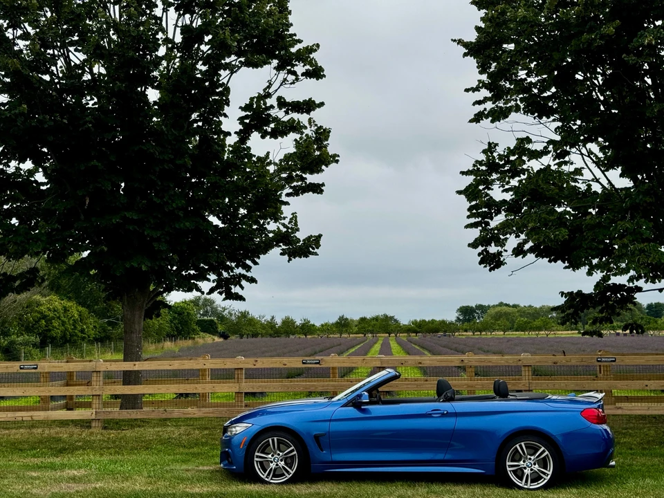 2017 BMW 3 Series - Image 15 of 15