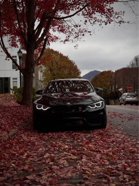 2017 BMW F80 M3 - Image 7 of 8