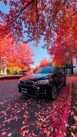 2017 BMW F15 X5 - Image 6 of 9