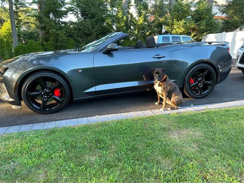 2017 Chevrolet Camaro SS 6th Gen - Image 6 of 12