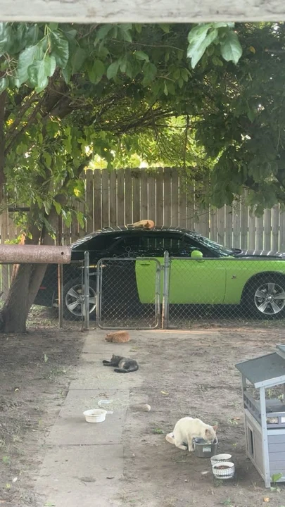 2017 Dodge Challenger 3rd Gen - Image 3 of 20