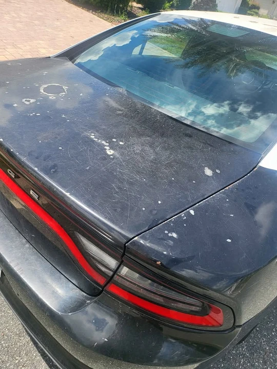 2017 Dodge Charger 7th Gen - Image 5 of 9