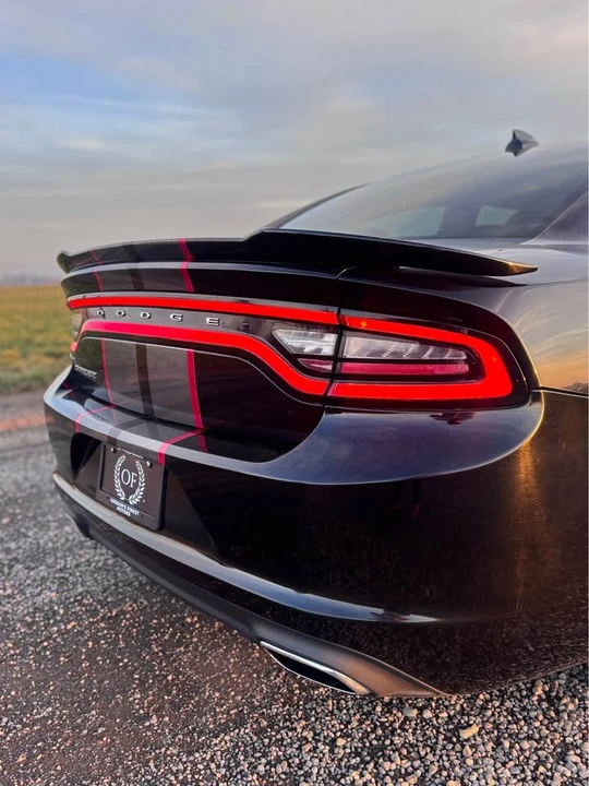 2017 Dodge Charger - Image 16 of 17