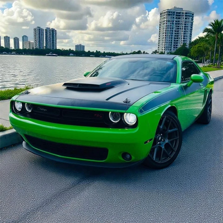 2017 Dodge Challenger 3rd Gen - Image 20 of 20