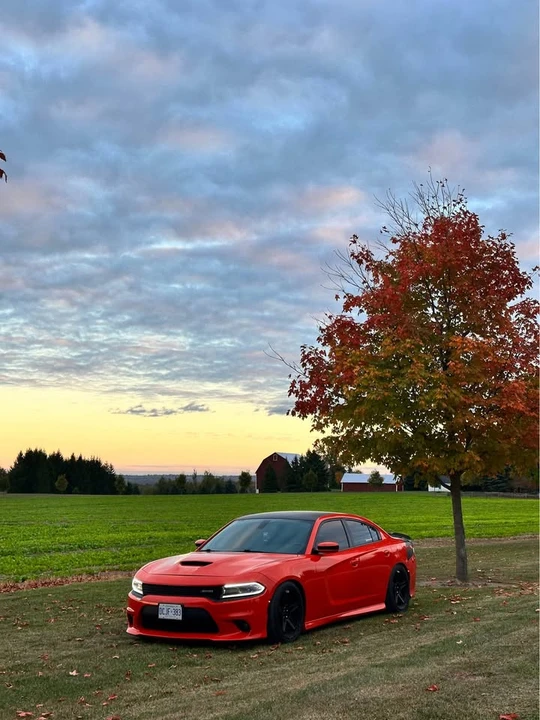 2017 Dodge Daytona - Image 5 of 5