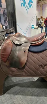 Parts & Memorabilia Evolution Antares 17" Saddle