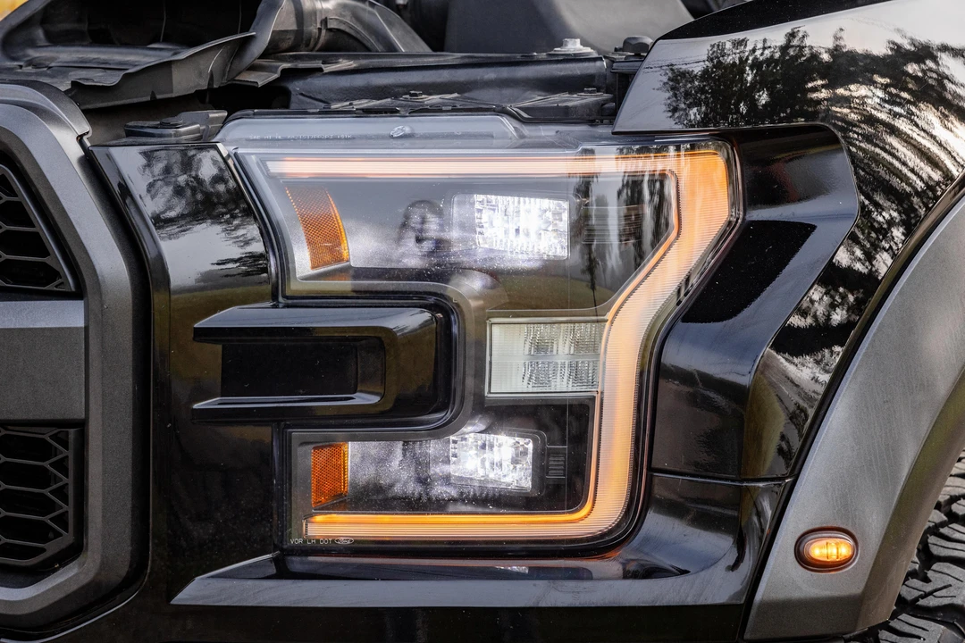 2017 Ford F-150 Raptor 13th Gen - Image 16 of 31