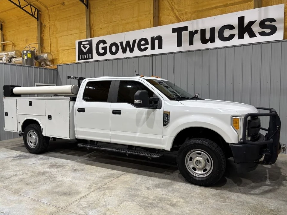 2017 Ford Super Duty 4th Gen - Image 3 of 21